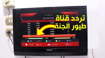 ” نزل قناة الاطفال عند علي الرسيفر ” تردد قناة طيور الجنة الجديد 2024 TOYOUR EL-JANAH